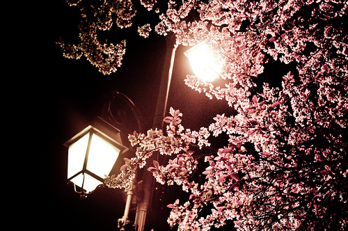 tumblr_lior7a78Uk1qdpxi8o1_500_large