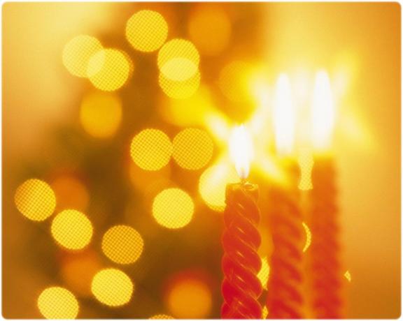 user213224_pic615168_1261214228