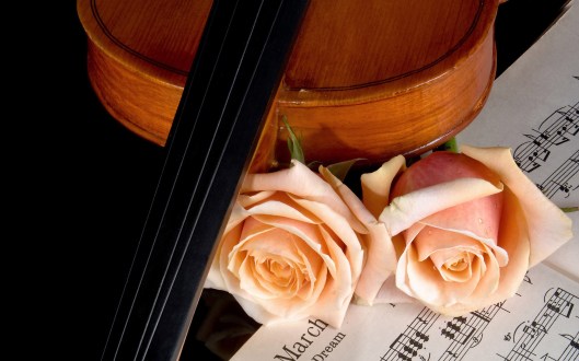 violin-and-roses