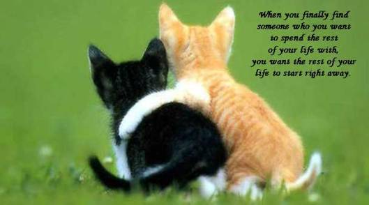 7_687533688_22_05_2009