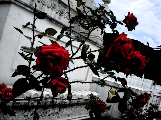 do88mt-d3dbad56-4df9-4ec5-acd3-22b34bcd184c